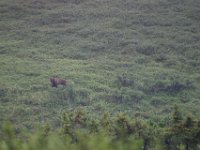 IMG 0145