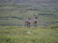IMG 0232