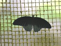 DSC 8645