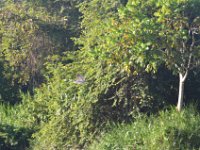 DSC 8217