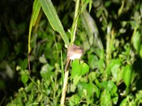 DSC 8301