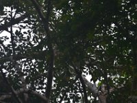 DSC 8343