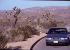 1991 californien 2 48
