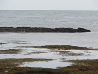 2016-06-11 20-51-53 - IMG 0073  Strandarkirkja udsigt over havet