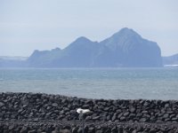 2016-06-12 14-07-08 - IMG 0161  Vestmannaøerne