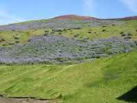 2016-06-12 17-04-12 - IMG 0187  Udsigten fra Eldheimar-museet