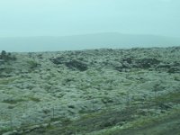 2016-06-13 14-38-33 - IMG 0315