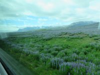 2016-06-13 18-37-44 - IMG 0389