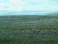 2016-06-13 18-41-21 - IMG 0393