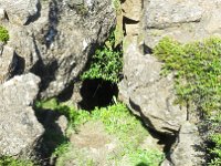 2016-06-14 15-12-43 IMG 0540  Thingvellir
