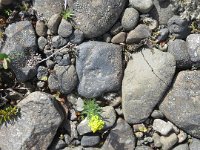 2016-06-13 18-52-23 - IMG 0399