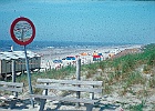 Holland1970 88