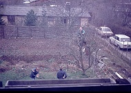 HOTlovers 17  Torbens far )Valdemar) i Herlev. Nye frugttræer