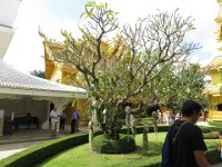 Wat Rong Kuhn-templet (Det hvide tempel)