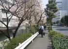 IMG 5668