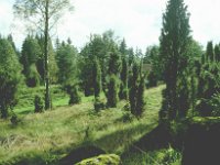 Sverige2000 10