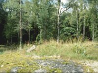 Sverige2000 19