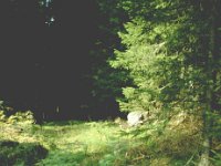 Sverige2000 6