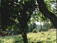 Sverige2000 7