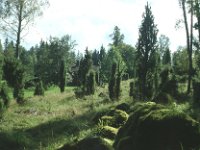 Sverige2000 9