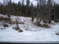 101-0164 IMG