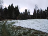 101-0167 IMG