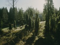 Sverige2001 72