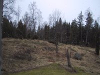 103-0380 IMG