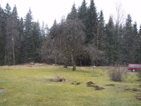 103-0381 IMG