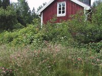 107-0735 IMG