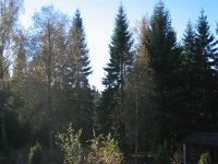 116 1661