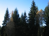 116 1663