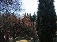 116 1676