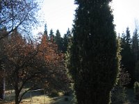 116 1677