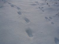 120 2080
