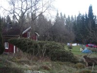 Stormen 'Gudrun' har været der