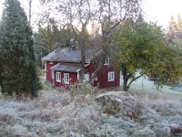 IMG 0444
