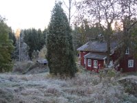IMG 0445