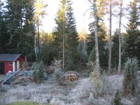 IMG 0451