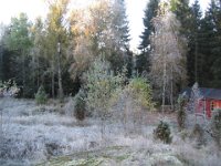 IMG 0453
