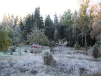 IMG 0454