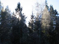 IMG 0458