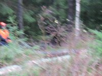 IMG 1492