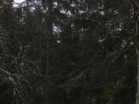 IMG 4913