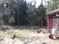  MVI 3879.MOV