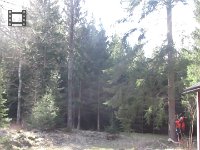  MVI 3880.MOV
