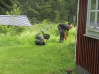 IMG 3885