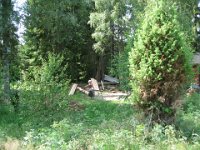 IMG 1495