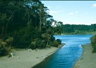 1996 Argentina 05 22