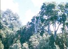 1996 Argentina 06 02